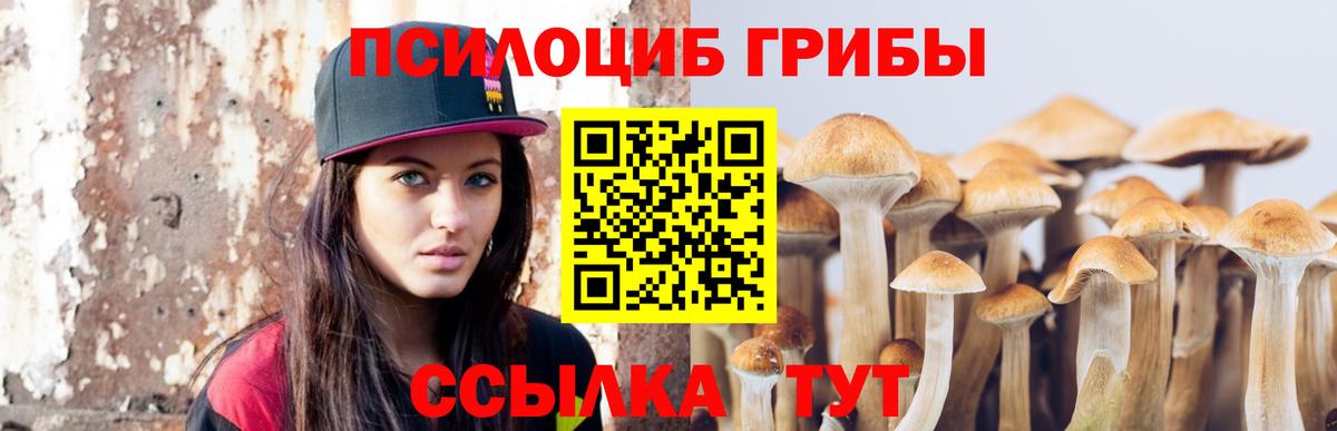 Галлюциногенные грибы GOLDEN TEACHER Симферополь
